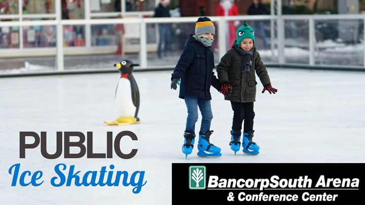 Public Ice Skating Dates & Times