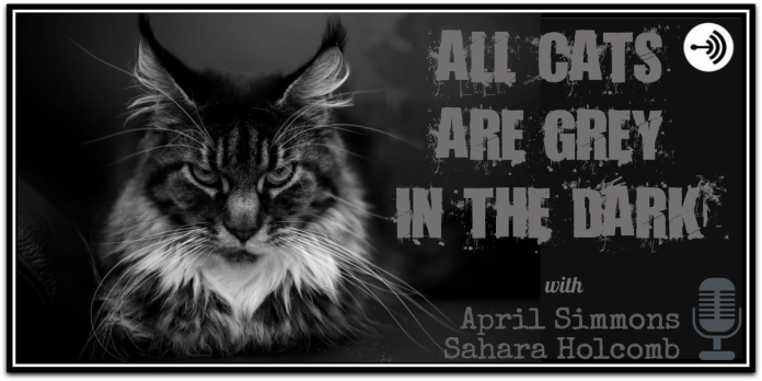10: All Cats Are Grey in the Dark Episode 10: Halloween Horrors