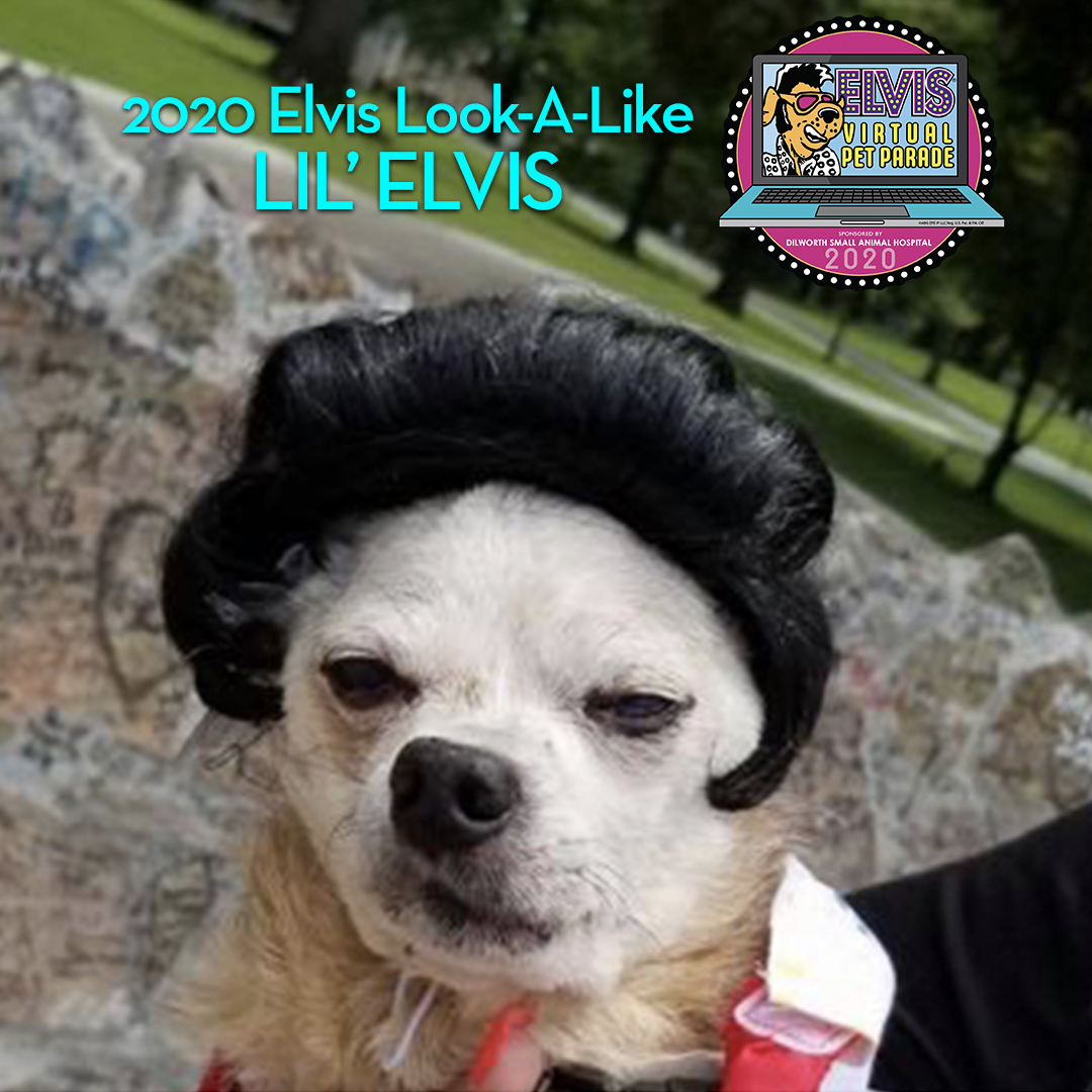 Winners Chosen for the 2020 Dilworth Virtual Elvis Pet Parade | OurTupelo