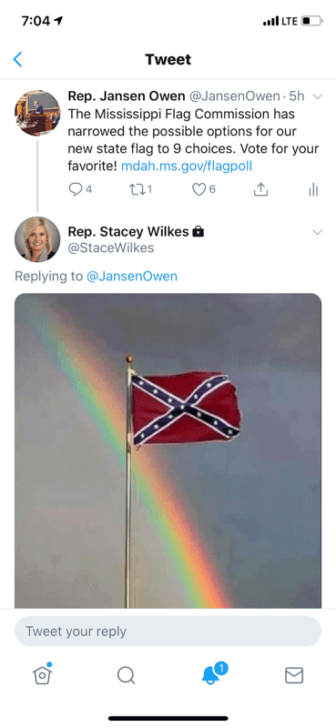 ‘Not a good look’: Rep. Wilkes says posting photo of Confederate battle flag was accident
