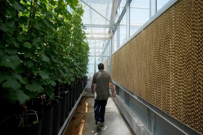 Scientist: Federal research and research funding matter for all Mississippians