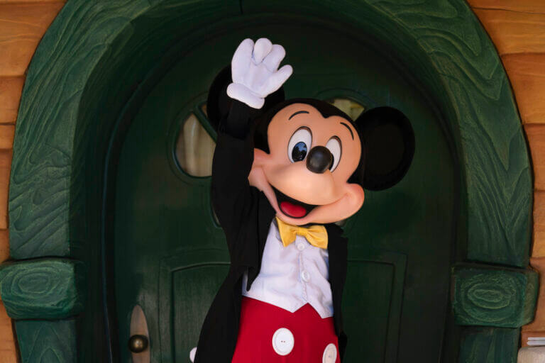 What if the government gave you public money to spend at Disneyland?