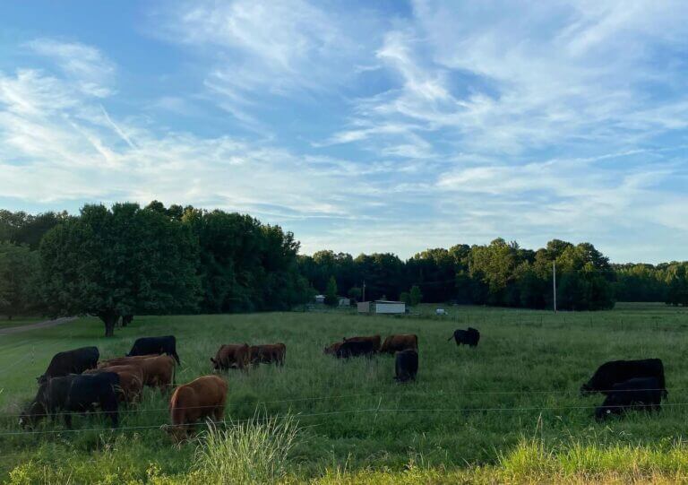 Neighbors say Lafayette County asphalt plant will harm community