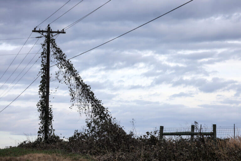 Holly Springs sues PSC for ‘unlawful authority’ over power issues